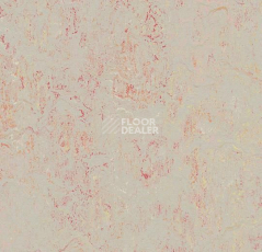 Линолеум Forbo Marmoleum Decibel on Order 343235 fruit punch фото 1 | FLOORDEALER